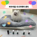 오산시 실버케어센터 | 강얼쥐들의 실버타운 바우라움 시니어케어 센터 체험 후기
