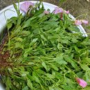 달맞이농장 이미지