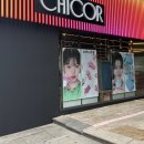 (주)신세계 시코르강남역점 | 서울 강남 새로 오픈한 시코르 강남역점 특가 행사, 매장 방문 후기