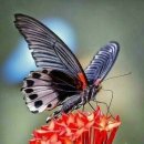 따뜻한 말 한 마디 이미지