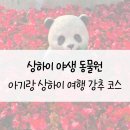 천일차유리 | [상하이야생동물원] 아기랑 상하이 방문 시, 강추하는 필수 코스!