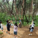 주식회사 숲 이미지