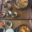 250501~250502 보홀: BS리조트 0.5박 입국팩, 샤카, 아보카도 스파, BBC 데이유즈, 모달라 리조트...