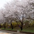 왕인박사유적지 이미지