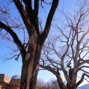 풍정리경로당 이미지