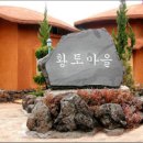 제주선흘리벵뒤굴 티스토리