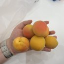 정인토탈 이미지