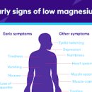 마그네슘 부족증상 원인 관리는 어떻게 할까요? 이미지