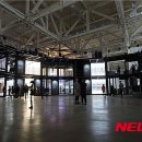 플라스틱 신화들 뉴시스
