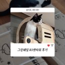 캣그린 | [내돈내산 / 소비요정] 그린웨일 B3캣타워 후기