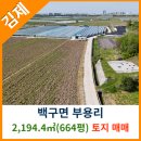 백구면사무소 이미지