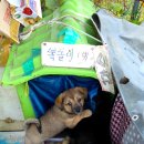 오독떼기전수관 티스토리