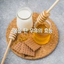 꿀을 탄 우유의 놀라운 효능 이미지