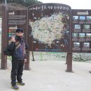 속초동물의료센터 이미지