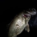 보성강8 이미지