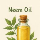 님Neem | 🌿 피부부터 식물까지, 만능 천연 오일 Neem Oil