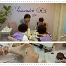 라벤더힐 이미지