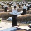 공설묘지 2 이미지