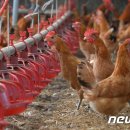 도동농장 이미지