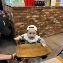 갈릴리수산 | 아기랑 노량진수산시장 대게 먹고 왔어요 (갈릴리/용궁)