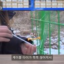 더블유인터내셔널
