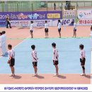 홍삼나라 Daum카페