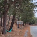 원남로-2 이미지