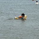 태종물회