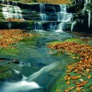 계곡&풍경 이미지