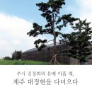 [문화재사랑] 추사 김정희의 유배 아홉 해, 제주 대정현을 다녀오다 이미지