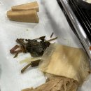 청춘돼지촌 이미지