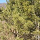 위경화농장 이미지