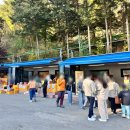 단풍 | 보은 여행 말티재전망대 단풍 후기