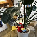 강원여인숙 이미지