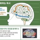 다산별빛초등학교 이미지