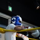 스탈리온복싱짐2관 이미지