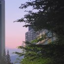 장전온누리약국 이미지
