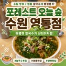 경기도 수원시 영통구 영통로 | [수원 망포/영통] 쌀국수 배터지게 먹을 수 있는 집 -포레스트 오늘 숲 수원영통점 내돈내산 후기