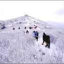 백 산 이미지