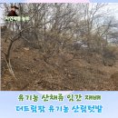 일성지리산콘도미니엄 | 더드림팜 유기농 산림 텃밭에서 재배하는 임간재배 산채류와 봄소식