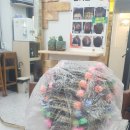 더예쁜헤어 이미지