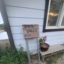 장미와 김목수 이미지