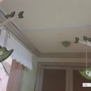 꽃들어린이집 이미지