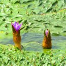 유수지공원 앞 이미지