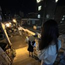 스테이 미드센트리