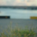 하모리-9 이미지