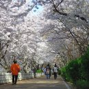 문원 약수터 이미지