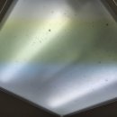 우남콤비아파트 이미지