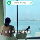 스텔라 | 속초 뷰 좋은 카페 청초호 카페 마리스텔라 내돈내산 후기