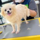 경산위생(주) 이미지